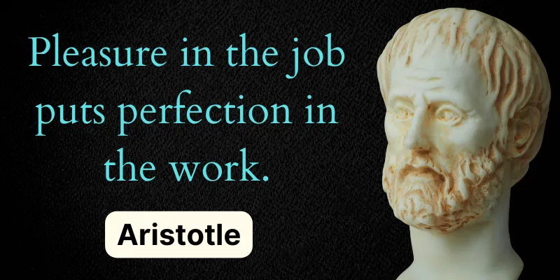 We should find joy in our work to achieve excellence in our jobs. This quote reflects the wisdom of Aristotle.
