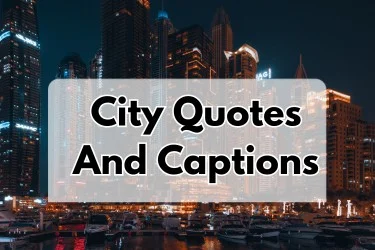 Explore These 179 Best City Quotes to Spark Your Next Adventure - Post Thumbnail