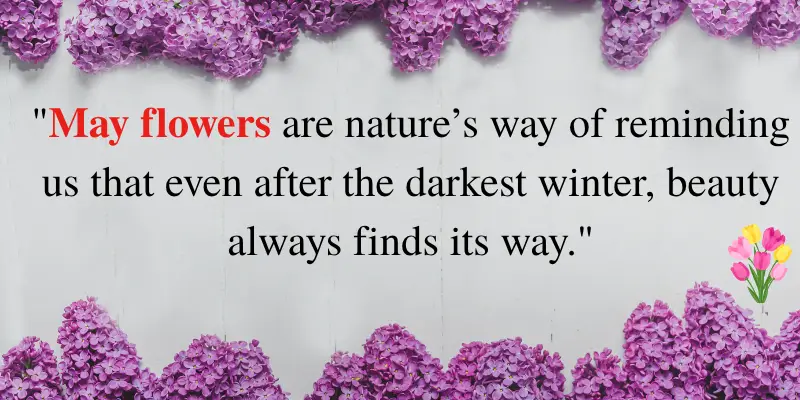 A quote about May flowers reminding us that beauty emerges after winter, with purple flowers framing the quote