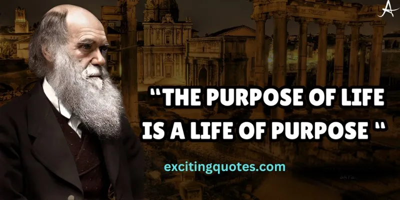 An older man with a long beard and a beard in a suit is saying a quote on finding the purpose of life.
