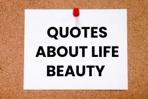 93 Inspirational Quotes to find life Beautiness and Wonders - Post Thumbnail