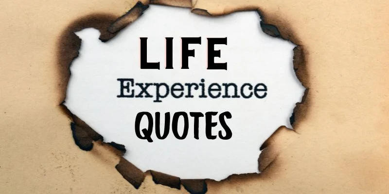 Meaningful quotes on life experiences, wisdom, and reflections to inspire and guide through challenges.