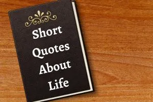 50 Short Quotes About Life That Will Brighten Your Day - Post Thumbnail